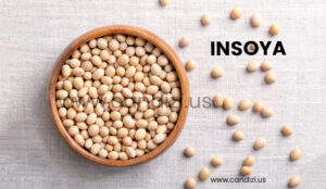 Insoya: The Sustainable Plant-Powered Protein for a Healthier You and a Greener Planet