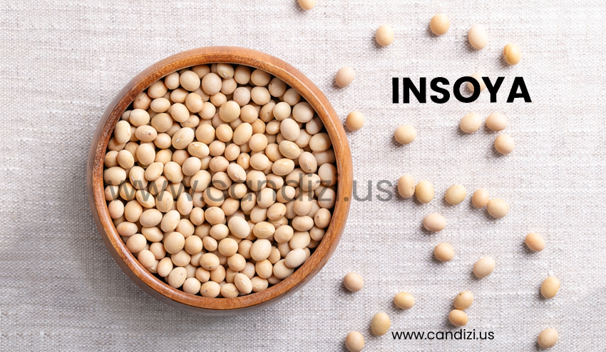 Insoya: The Sustainable Plant-Powered Protein for a Healthier You and a Greener Planet